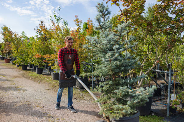 Soil Testing and Treatment in Shaw Heights, CO
